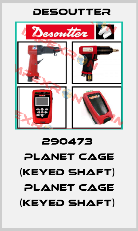 290473  PLANET CAGE (KEYED SHAFT)  PLANET CAGE (KEYED SHAFT)  Desoutter