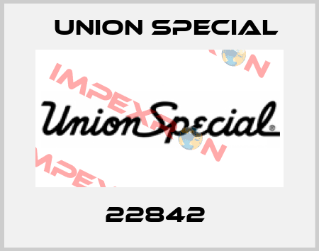 22842  Union Special