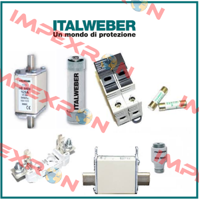 0106500  Italweber