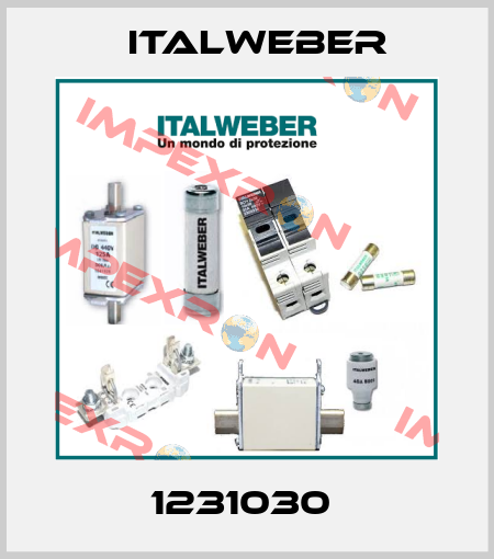1231030  Italweber