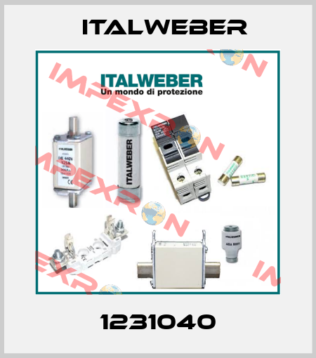 1231040 Italweber