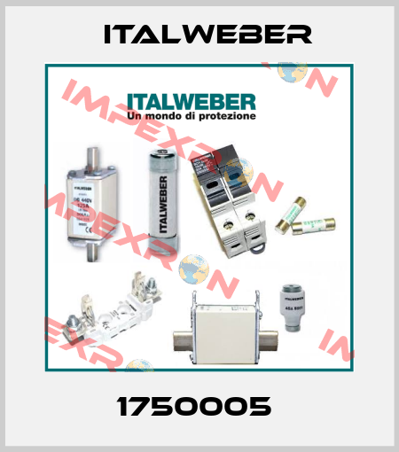 1750005  Italweber
