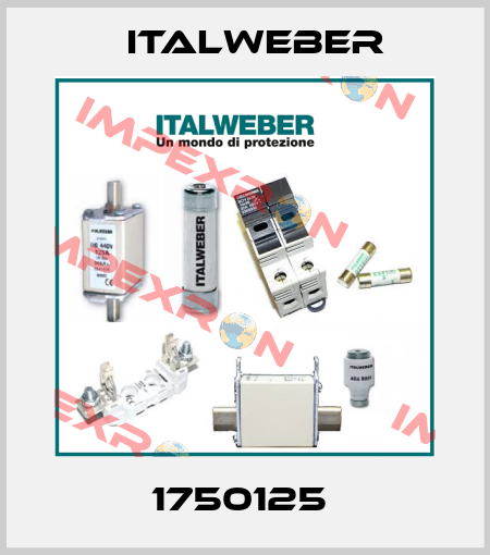 1750125  Italweber