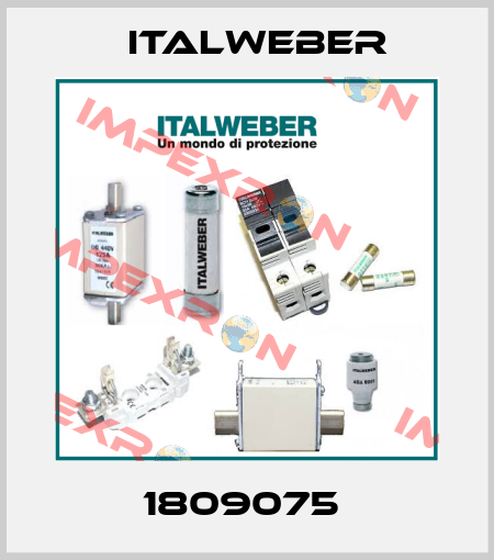 1809075  Italweber