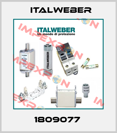 1809077  Italweber