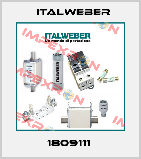 1809111  Italweber