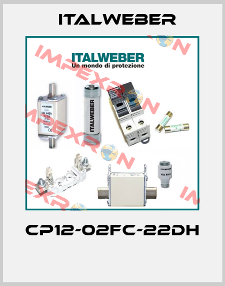 CP12-02FC-22DH  Italweber