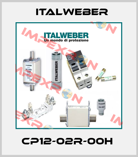 CP12-02R-00H  Italweber