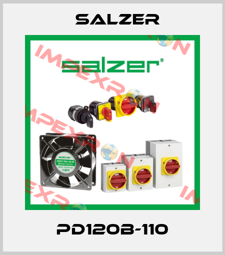 PD120B-110 Salzer