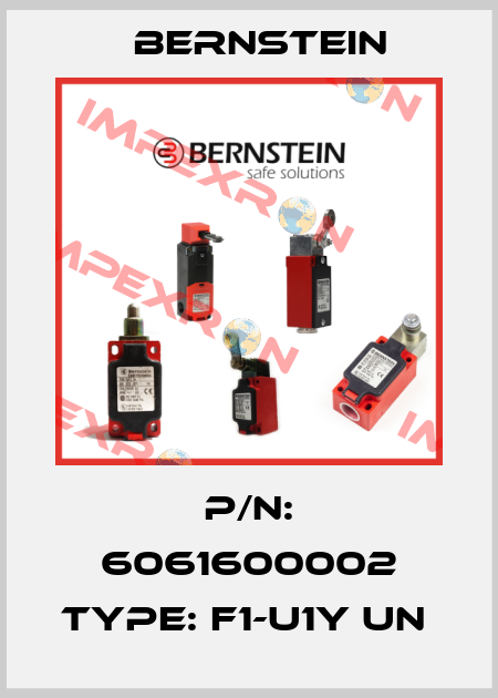 P/N: 6061600002 Type: F1-U1Y UN  Bernstein