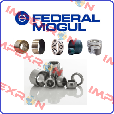 813150010  Federal Mogul