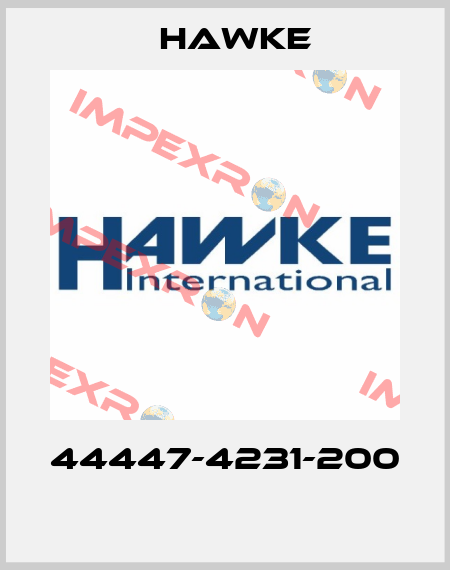 44447-4231-200  Hawke