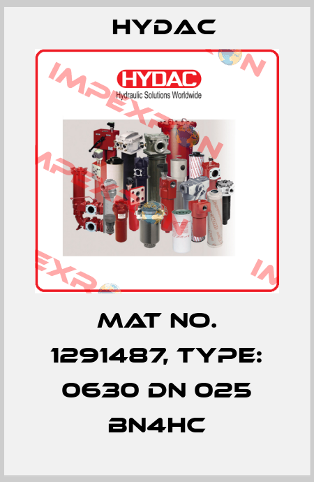 Mat No. 1291487, Type: 0630 DN 025 BN4HC Hydac