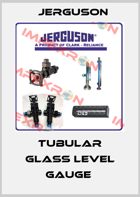 Tubular Glass Level Gauge  Jerguson