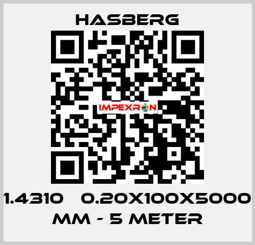 1.4310   0.20X100X5000 MM - 5 METER Hasberg