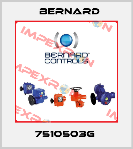 7510503G  Bernard