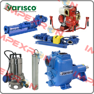 10004353 Varisco pumps