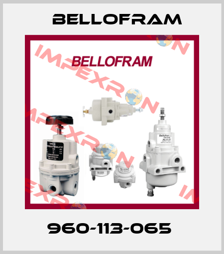 960-113-065  Bellofram