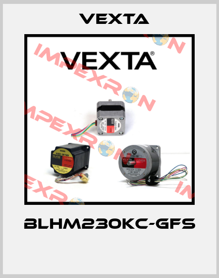 BLHM230KC-GFS  Vexta