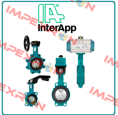 VKDIM06302  InterApp