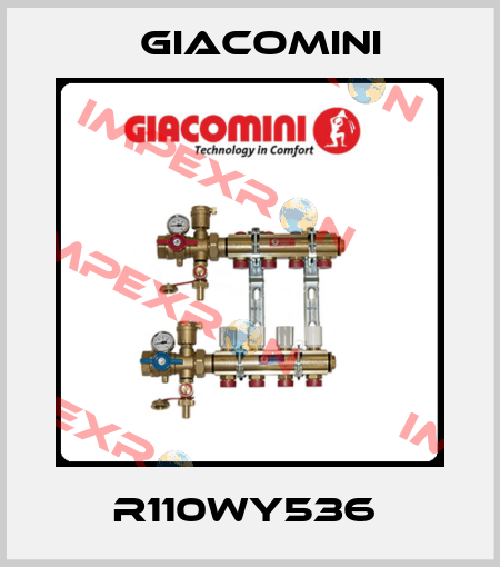 R110WY536  Giacomini