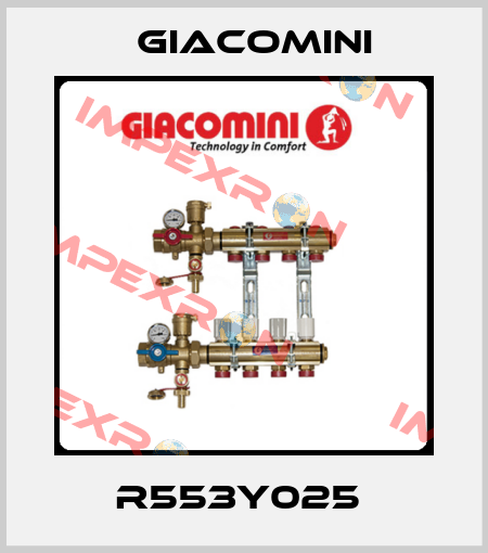 R553Y025  Giacomini