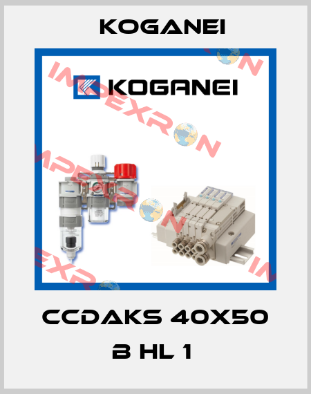 CCDAKS 40X50 B HL 1  Koganei
