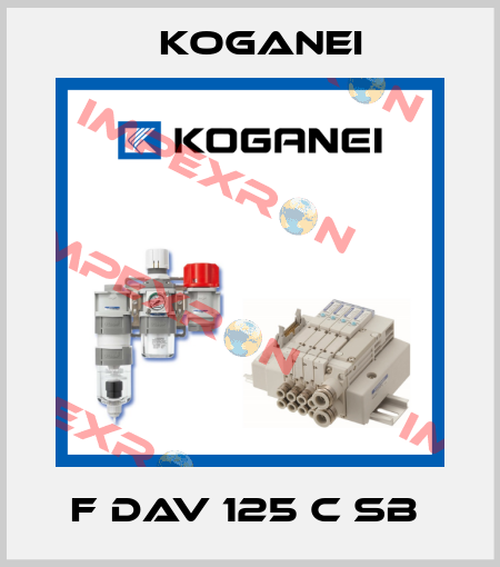 F DAV 125 C SB  Koganei