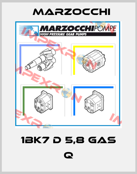 1BK7 D 5,8 GAS Q Marzocchi