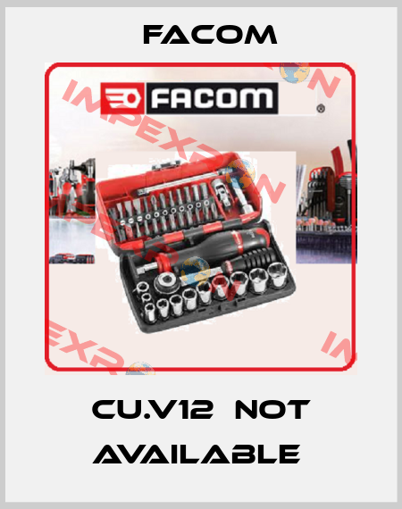 CU.V12  not available  Facom