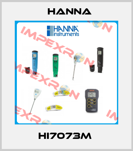 HI7073M  Hanna