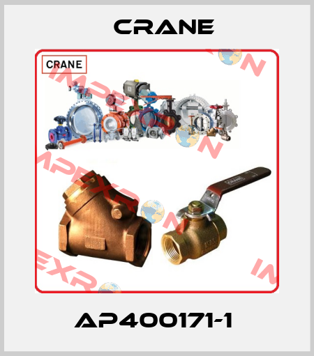 AP400171-1  Crane
