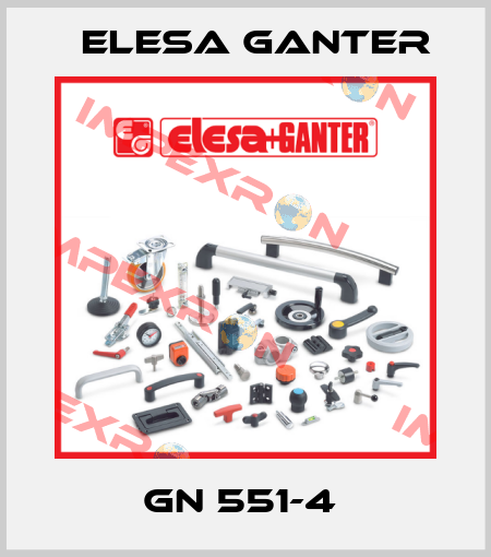 GN 551-4  Elesa Ganter