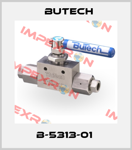 B-5313-01  BuTech