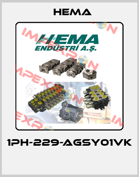 1PH-229-AGSY01VK  Hema