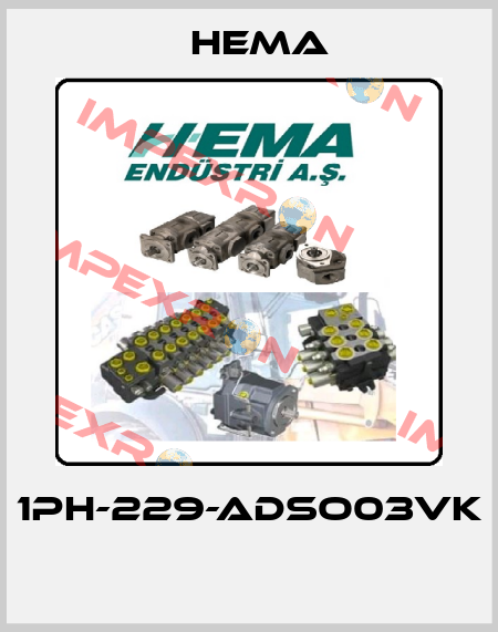 1PH-229-ADSO03VK  Hema