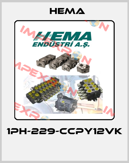 1PH-229-CCPY12VK  Hema
