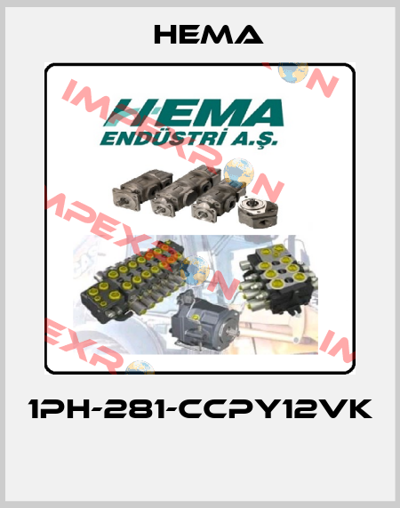 1PH-281-CCPY12VK  Hema