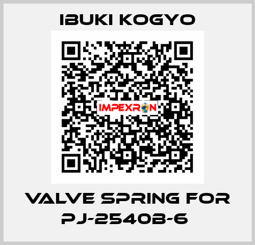 VALVE SPRING for PJ-2540B-6  IBUKI KOGYO