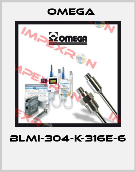 BLMI-304-K-316E-6  Omega
