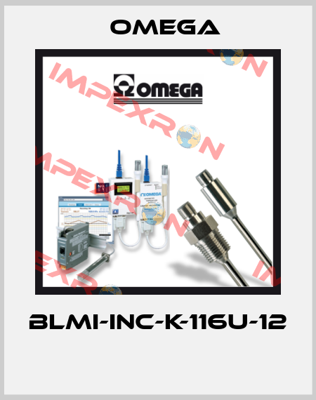 BLMI-INC-K-116U-12  Omega