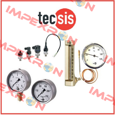 P1454B072002  Tecsis (WIKA Group)