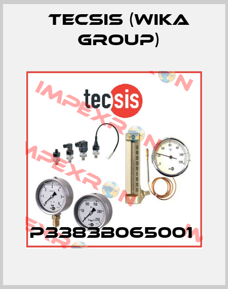 P3383B065001  Tecsis (WIKA Group)