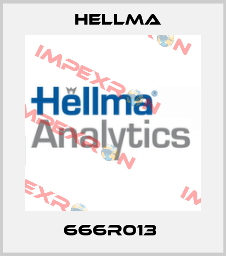 666R013  Hellma