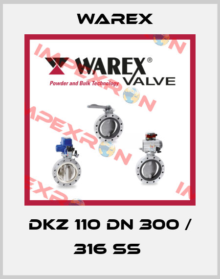 DKZ 110 DN 300 / 316 SS  Warex