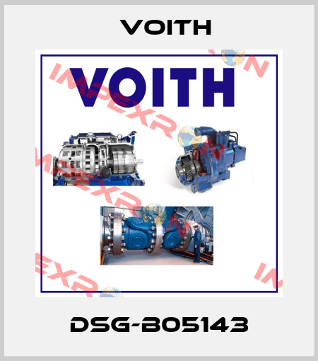 DSG-B05143 Voith