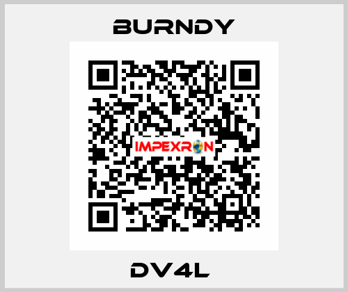 DV4L  Burndy