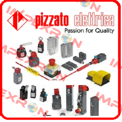 FL601-2G  Pizzato Elettrica