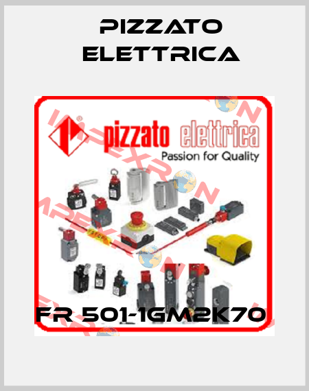 FR 501-1GM2K70  Pizzato Elettrica