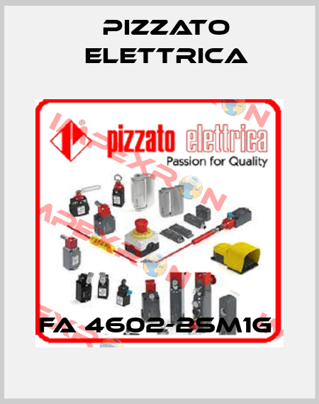FA 4602-2SM1G  Pizzato Elettrica